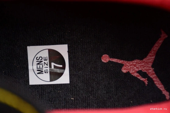 11 528895-012 Retro  528895-012 Low Bred Jordan 1008